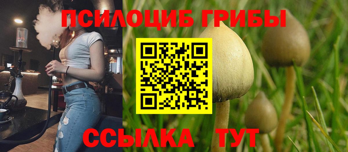 Галлюциногенные грибы MAGIC MUSHROOMS Ярцево